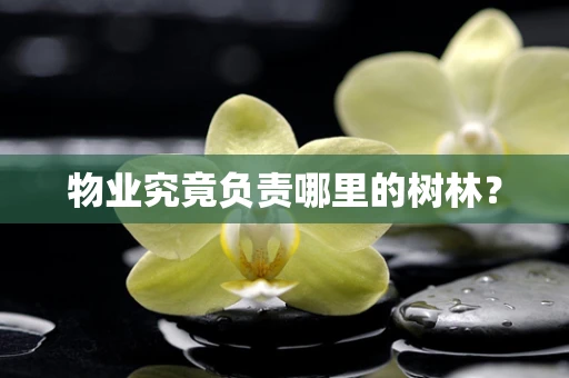 物业究竟负责哪里的树林？
