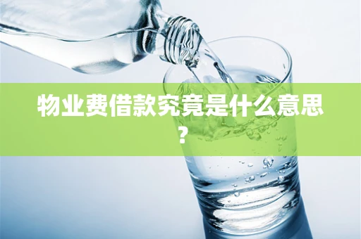 物业费借款究竟是什么意思？