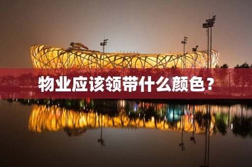 物业应该领带什么颜色？