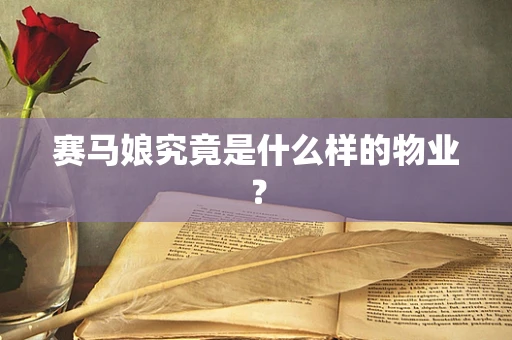 赛马娘究竟是什么样的物业？