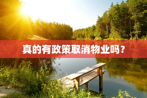 真的有政策取消物业吗？