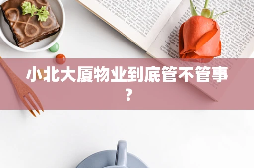 小北大厦物业到底管不管事？