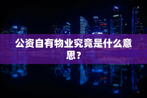 公资自有物业究竟是什么意思？