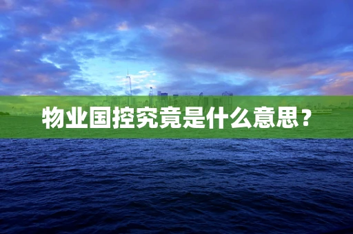 物业国控究竟是什么意思？