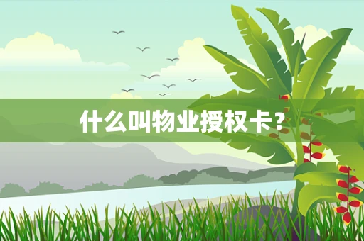什么叫物业授权卡？