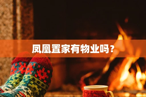 凤凰置家有物业吗？