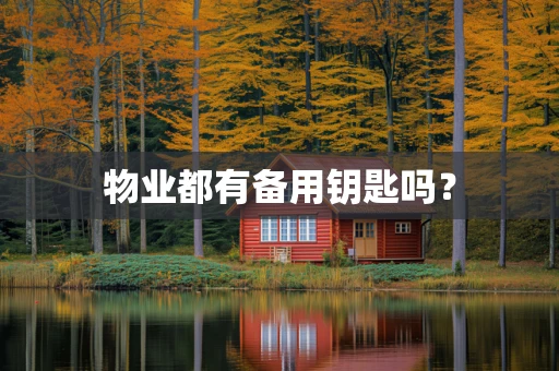 物业都有备用钥匙吗？