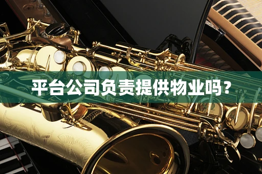 平台公司负责提供物业吗？