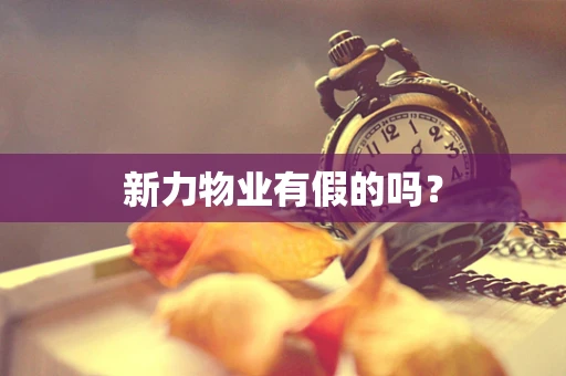 新力物业有假的吗？
