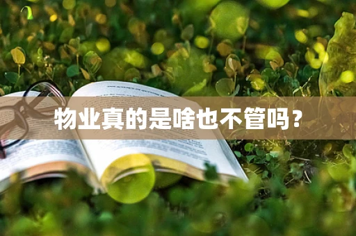物业真的是啥也不管吗？