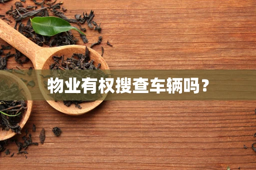 物业有权搜查车辆吗？