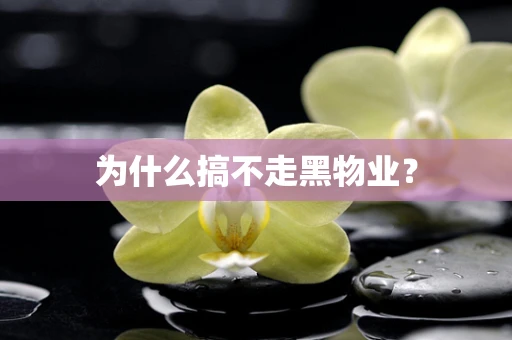 为什么搞不走黑物业？