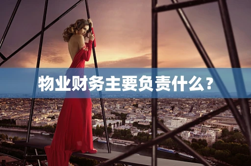 物业财务主要负责什么？