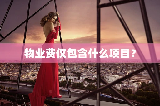 物业费仅包含什么项目？