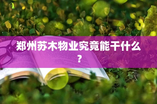 郑州苏木物业究竟能干什么？