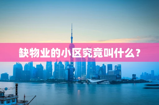 缺物业的小区究竟叫什么？