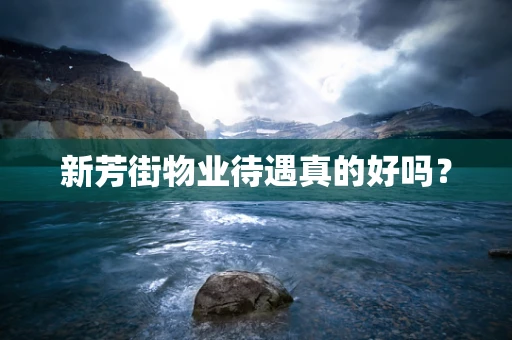 新芳街物业待遇真的好吗？