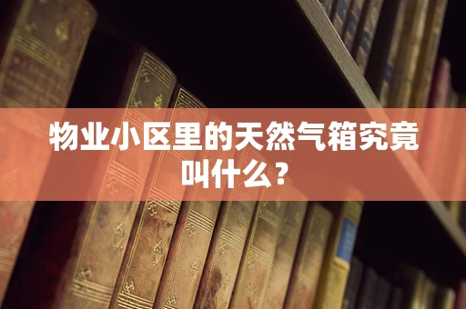 物业小区里的天然气箱究竟叫什么？