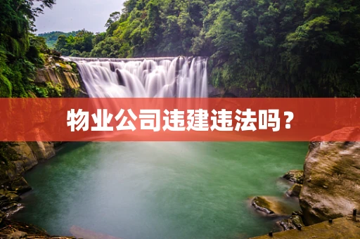 物业公司违建违法吗？