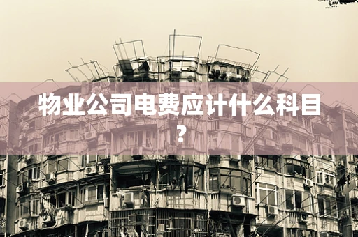 物业公司电费应计什么科目？