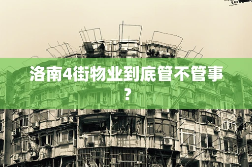 洛南4街物业到底管不管事？