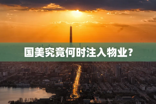 国美究竟何时注入物业？