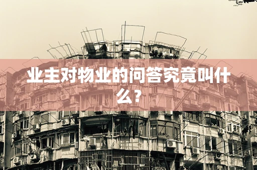业主对物业的问答究竟叫什么？