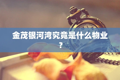 金茂银河湾究竟是什么物业？