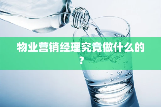 物业营销经理究竟做什么的？