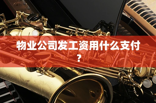 物业公司发工资用什么支付？