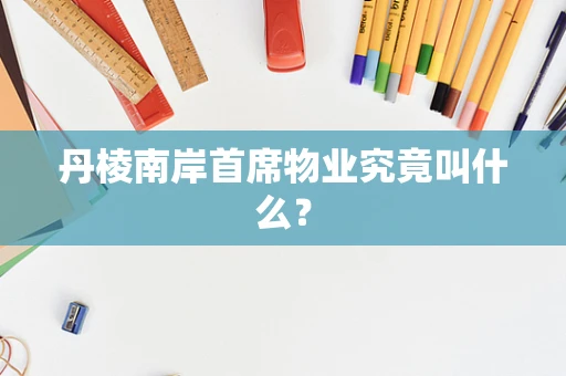 丹棱南岸首席物业究竟叫什么？