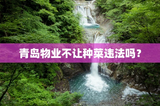 青岛物业不让种菜违法吗？