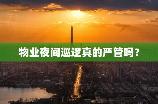 物业夜间巡逻真的严管吗？