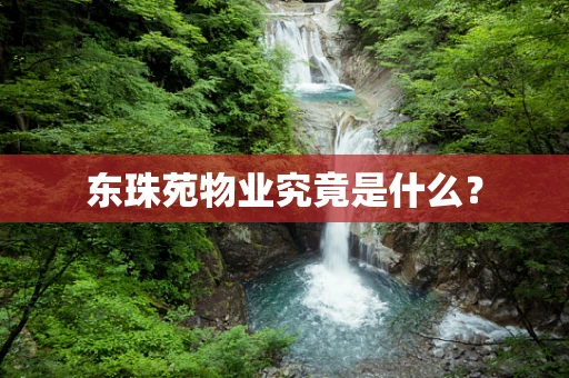 东珠苑物业究竟是什么？