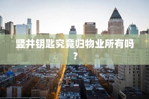 竖井钥匙究竟归物业所有吗？