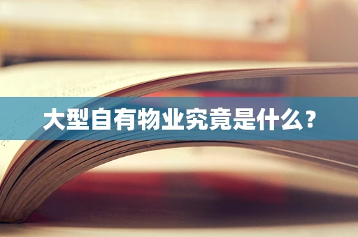 大型自有物业究竟是什么？