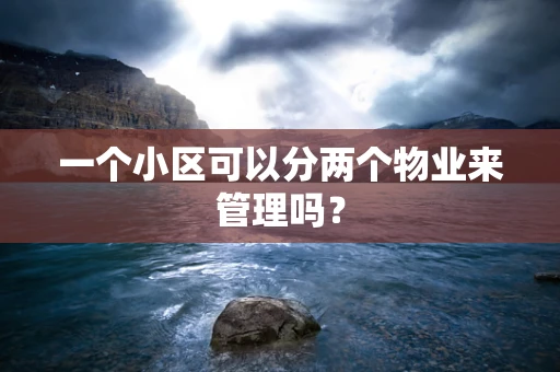 一个小区可以分两个物业来管理吗？