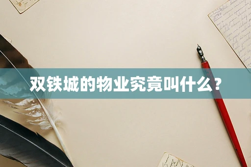 双铁城的物业究竟叫什么？