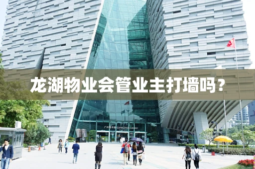龙湖物业会管业主打墙吗？