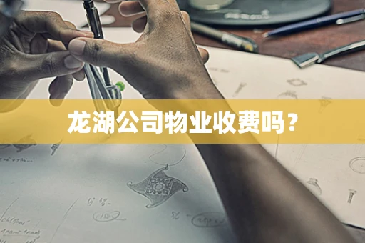 龙湖公司物业收费吗？