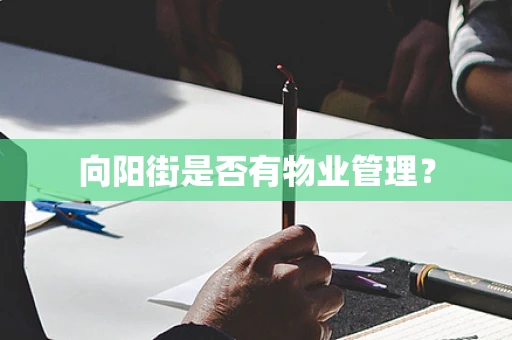 向阳街是否有物业管理？