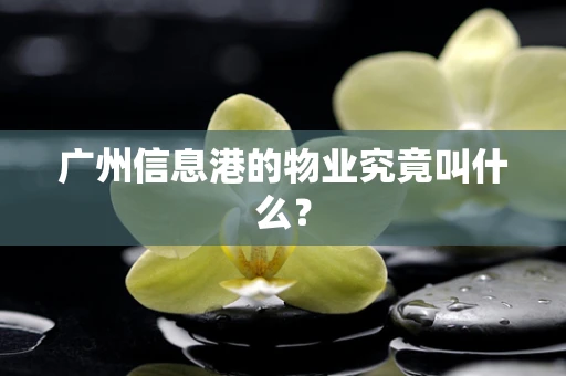 广州信息港的物业究竟叫什么？