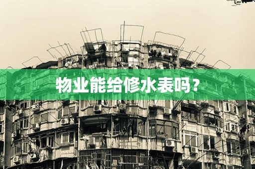 物业能给修水表吗？