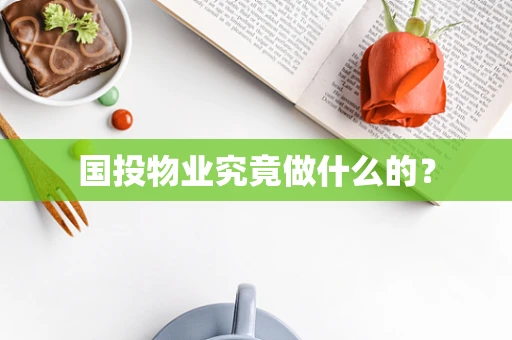 国投物业究竟做什么的？
