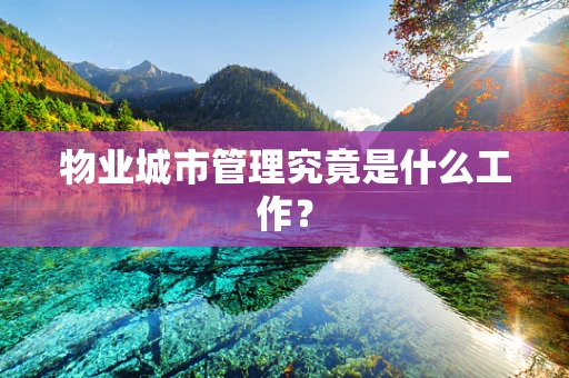 物业城市管理究竟是什么工作？
