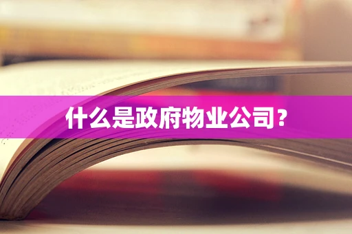 什么是政府物业公司？