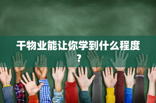 干物业能让你学到什么程度？