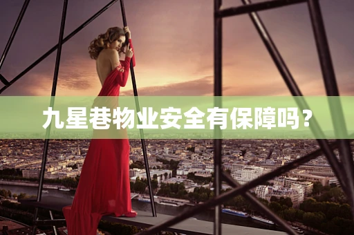 九星巷物业安全有保障吗？