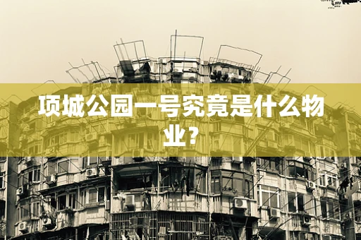 项城公园一号究竟是什么物业？