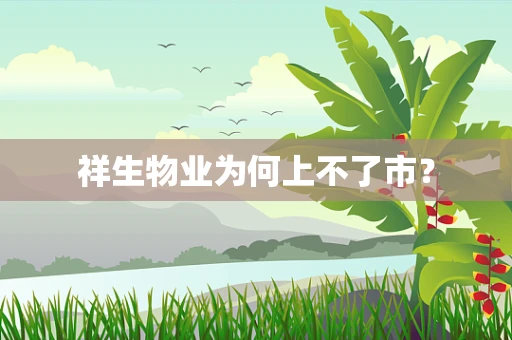 祥生物业为何上不了市？